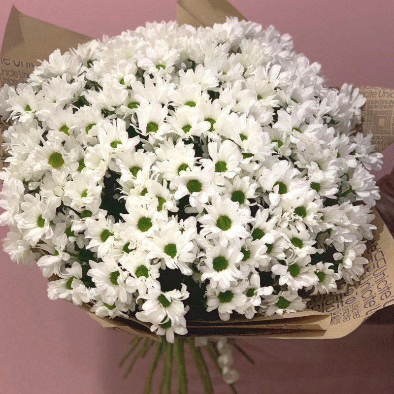 Родные просторы